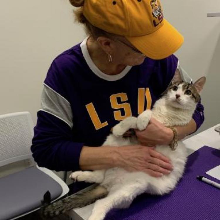 Cat Care Center Baton Rouge, LA